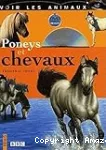 Poneys et chevaux