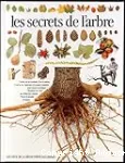 Les secrets de l'arbre