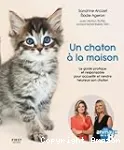 Un chaton  la maison