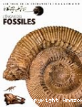 L'nigme des fossiles